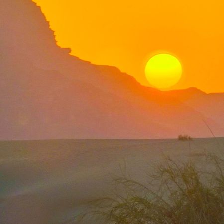 Ammar Rum Camp And Tours Wadi Rum Zewnętrze zdjęcie