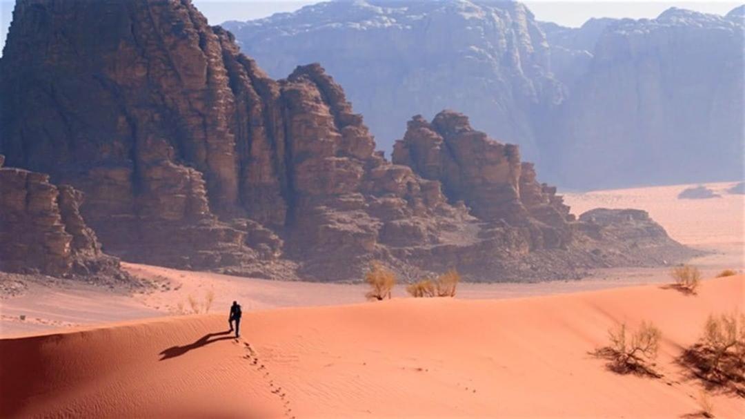 Ammar Rum Camp And Tours Wadi Rum Zewnętrze zdjęcie